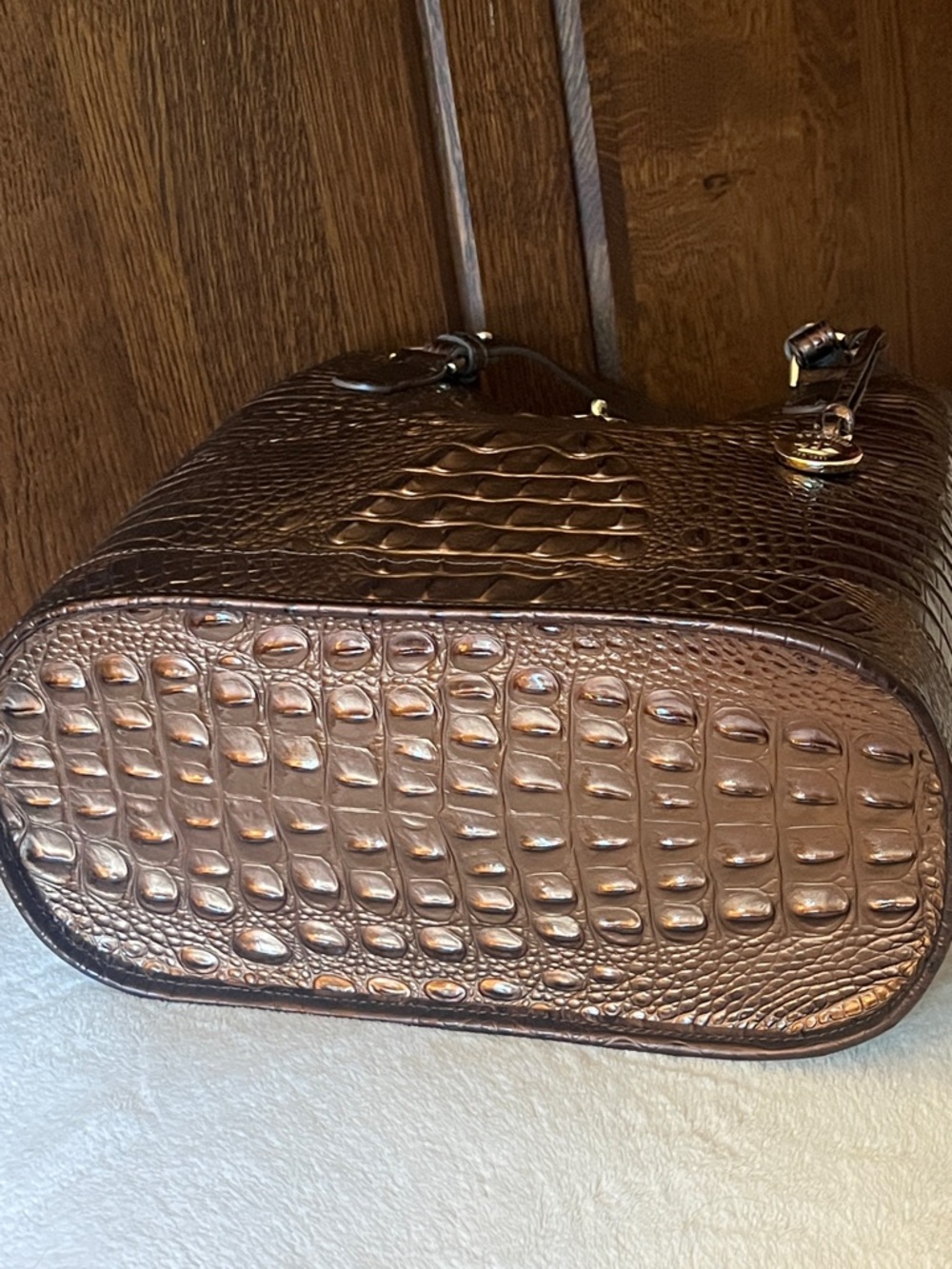 BRAHMIN FIORA Ganache Ombré Melbourne Bucket Bag NWT - Picture 16 of 17